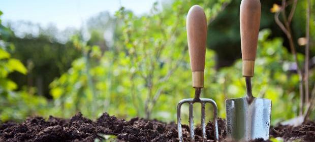 A gardening hand trowel and fork standing in garden soil
